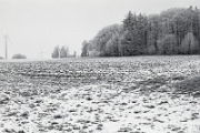Winterlandschaft