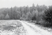 Winterlandschaft (2)